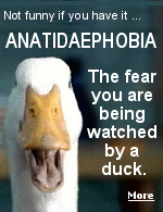 The anatidaephobic individual fears that no matter where they are or what they are doing, a duck watches.